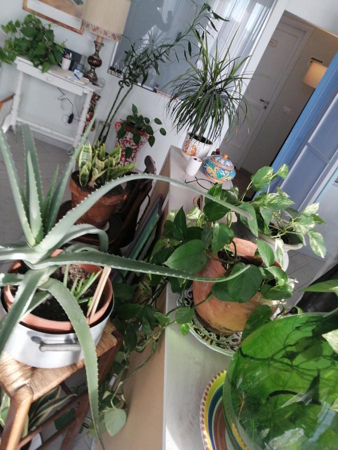 " Domus Coralla" Bnb Racconti Di Viaggio 카타니아 외부 사진