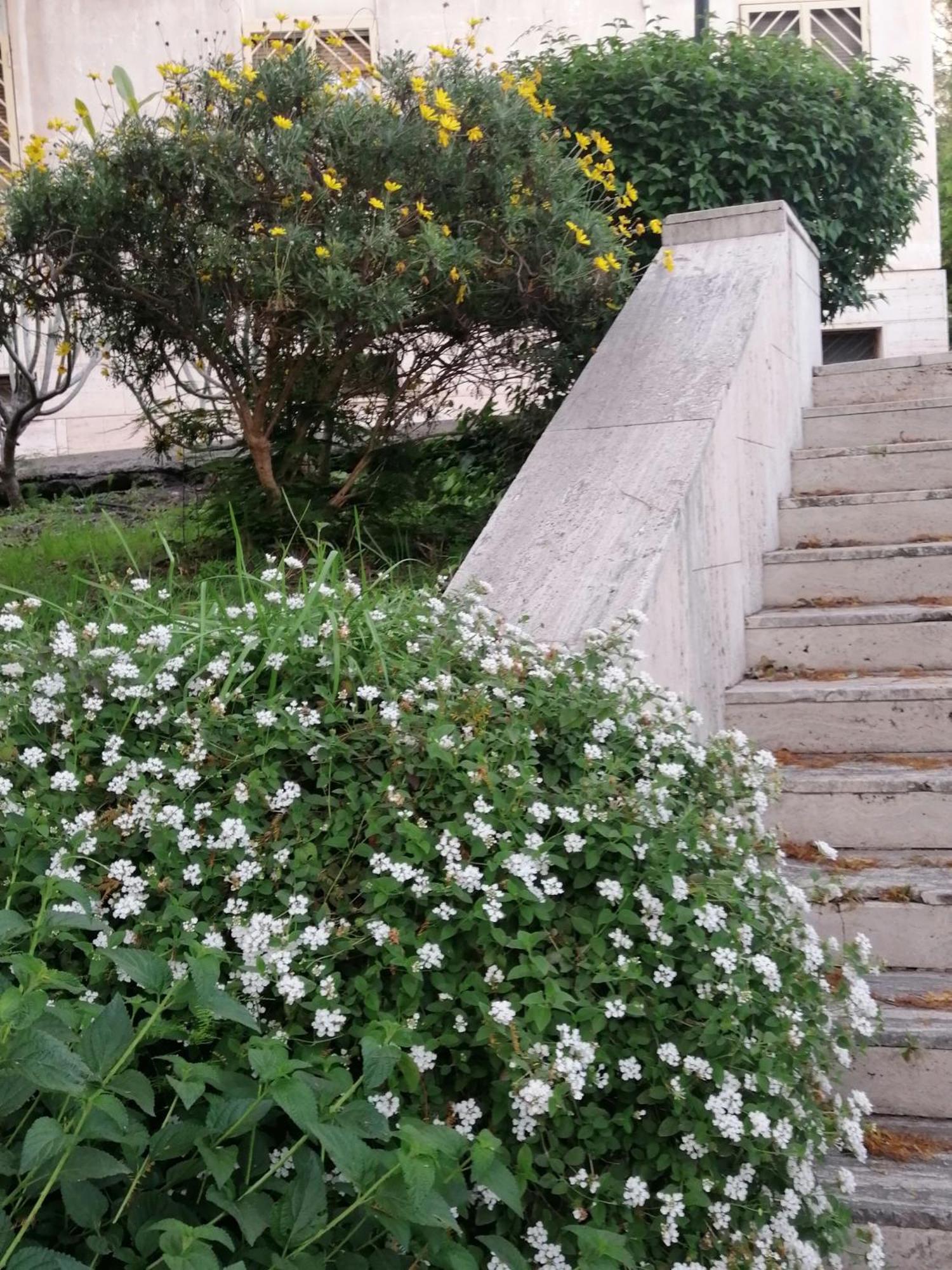 " Domus Coralla" Bnb Racconti Di Viaggio 카타니아 외부 사진